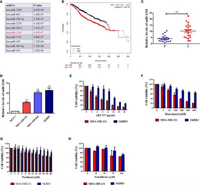 MicroRNA-1246 Mediates Drug Resistance and Metastasis in Breast Cancer by Targeting NFE2L3